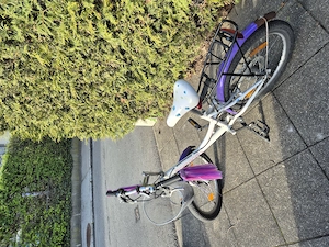 Mädchenfahrrad 20 Zoll Bild 2