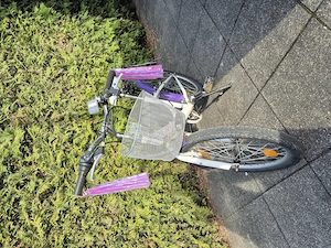 Mädchenfahrrad 20 Zoll