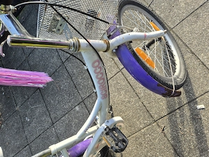 Mädchenfahrrad 20 Zoll Bild 5