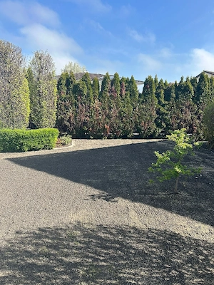 Gartenarbeit  Bild 2