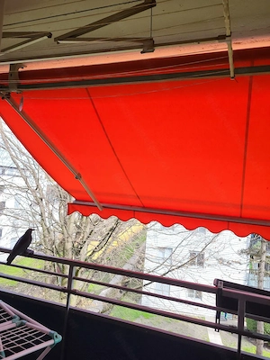 Markise in gutem Zustand