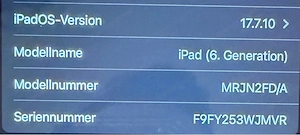 Apple İpad 9,7 Zoll Gold mit Hülle Bild 3