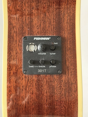 Washburn Western Gitarre inkl. Tonabnehmer 301t von Fishman Bild 3