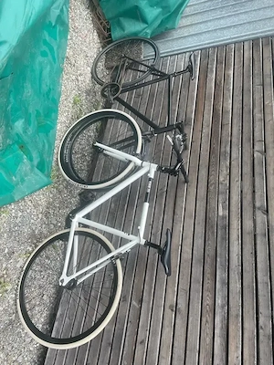 2 x Singlespeed - Fixie Inc. Bild 3