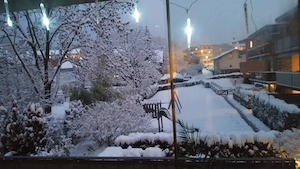 Schöne helle 2 Zimmerwohnung im Oberdorf mit Tiefgarage Bild 9