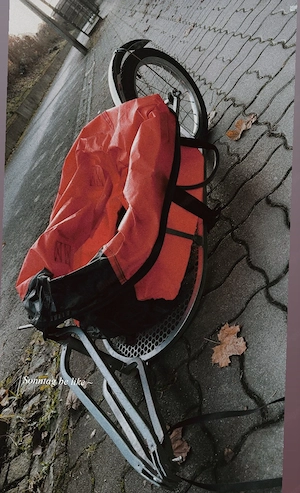 fahrradanhänger