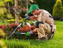 Gartenarbeit, Rasen, Hecke, Gärtner 