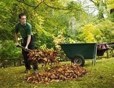 Gartenarbeit, Rasen, Hecke, Gärtner  Bild 2