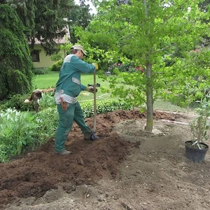 Gärtner Gartenarbeit  Bild 2