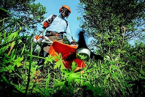 Gärtner Gartenarbeit  Bild 3