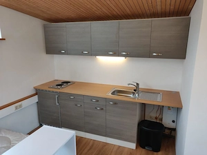 Einzimmerwohnung mit Gartenplatz Bild 3