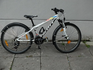 Scott Scale jr. 24 Zoll, sehr guter Zustand, ab 120cm, mit Schutzblechen Bild 4