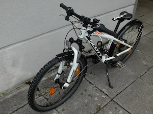 Scott Scale jr. 24 Zoll, sehr guter Zustand, ab 120cm, mit Schutzblechen Bild 2