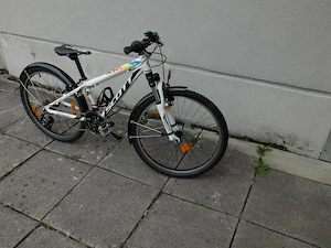 Scott Scale jr. 24 Zoll, sehr guter Zustand, ab 120cm, mit Schutzblechen Bild 6