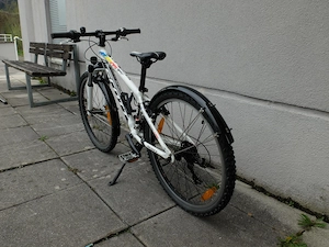 Scott Scale jr. 24 Zoll, sehr guter Zustand, ab 120cm, mit Schutzblechen Bild 3