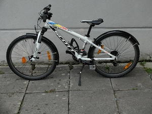 Scott Scale jr. 24 Zoll, sehr guter Zustand, ab 120cm, mit Schutzblechen