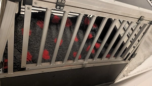 Autobox mit Notausstieg  Bild 5