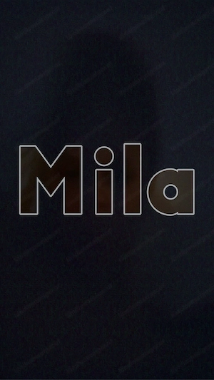 Flohmarkt Haushaltsauflösung 18.19.04 Bild 9