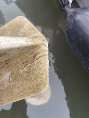 Honda 40Ps Außenborder Bild 4