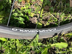 Rennrad Simplon ASC-9 Lumen Light Bild 6