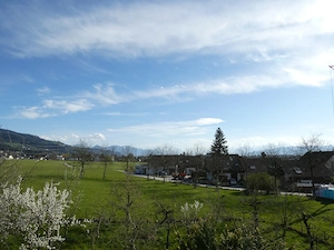 Charmante Dachgeschosswohnung ab Juni 2026 zu vermieten Bild 2