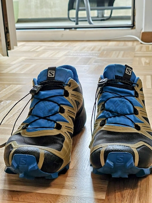 Salomon Speedcross 5 GTX Herren 44  Bild 4