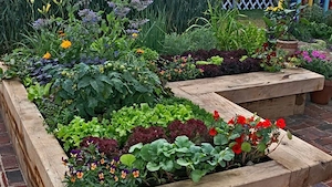 Gartenarbeit Gärtner ,Hecke,Rasen, Bäume  Bild 2