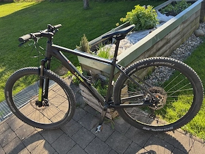 Mountainbike Cube Reaction Pro