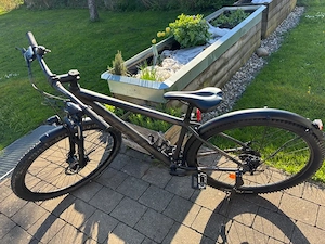 Jugendrad Focus Wishtler