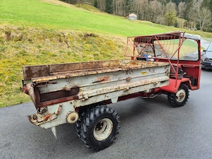 Aebi TP 20 Transporter Bild 4