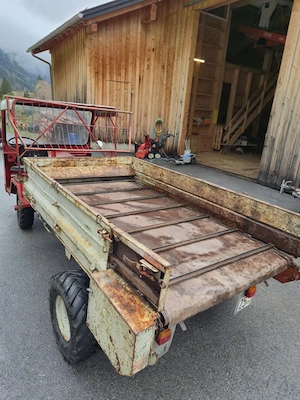 Aebi TP 20 Transporter Bild 5