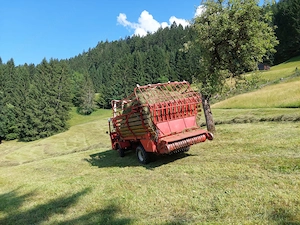 Aebi TP 20 Transporter Bild 6