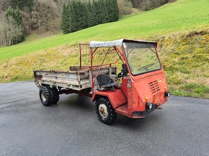 Aebi TP 20 Transporter Bild 3