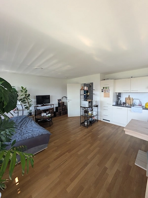 2-Zimmer-Wohnung in Hard Bild 4