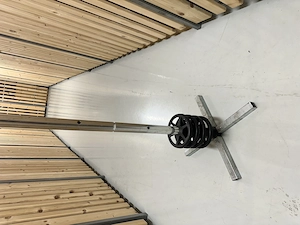 Feigenbaum Reifenbaum verschenken