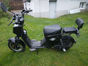 Elektroroller E.F.O EB250P schwarz matt Bild 4