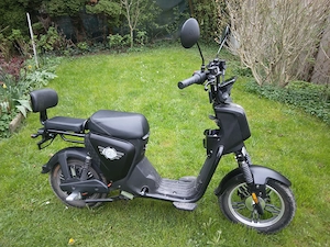 Elektroroller E.F.O EB250P schwarz matt Bild 2