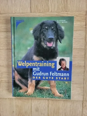 Erziehung für Hunde Bild 2