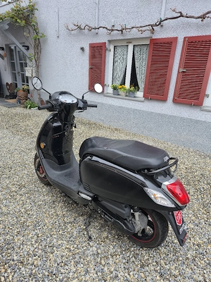 Sym Fiddle III 50ccm   Top gepflegt   Frisch vorgeführt bis 05 2027! Bild 4