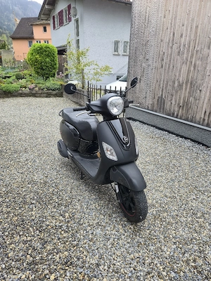 Sym Fiddle III 50ccm   Top gepflegt   Frisch vorgeführt bis 05 2027!