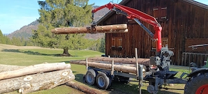 Kran Atlas Forstkran Bild 2