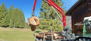 Kran Atlas Forstkran Bild 8