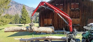 Kran Atlas Forstkran Bild 10