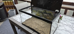 Aquarium 54 l komplett set