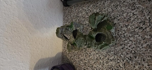 Aquarium 54 l komplett set Bild 3