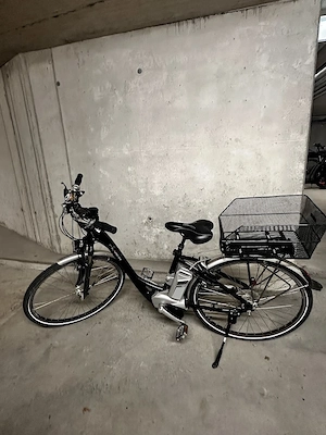 e-bike Flyer Damenrad Bild 2