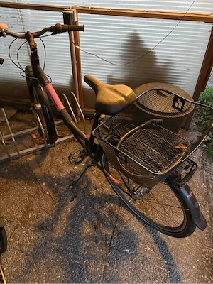 Mädchenfahrrad Bild 2