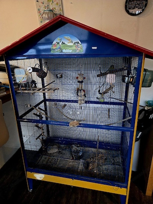 Vogelkäfig mit 2 Wellensittichen Bild 5