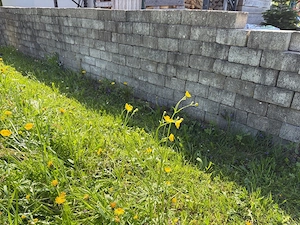 Pflastersteine Bild 2