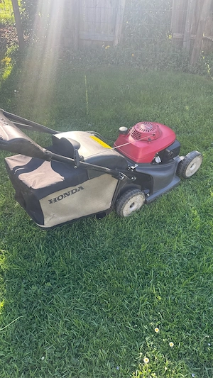 Honda HRX 426 mit Radantrieb Bild 3